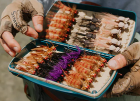 Tacky Pescador - Large