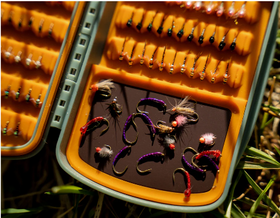 Tacky Pescador - MagPad - Small