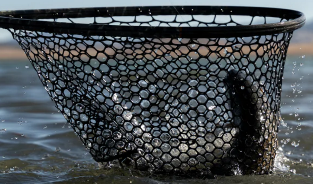 Fishpond Nomad® Boat Net