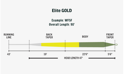 RIO ELITE GOLD Fly line