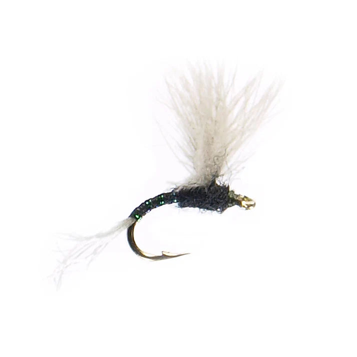 YFG Tricos