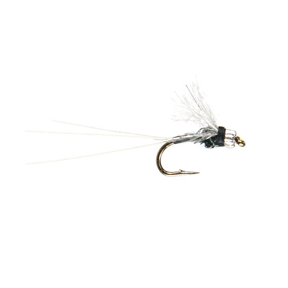 YFG Tricos