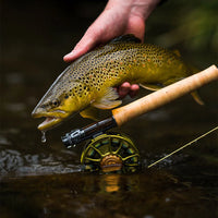 Ross Animas Reel